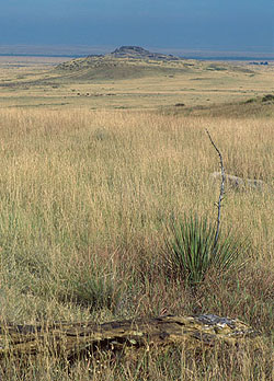 Wolf Mountain, Santa Fe trail landmark along Cimarron County Cutoff in ...