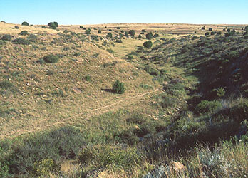 Santa Fe trail Ruts from Camp Nichols on Cimarron County Cutoff on ...