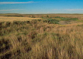 Santa Fe trail Wagon Ruts along McNees Crossing on Cimarron Cutoff on ...